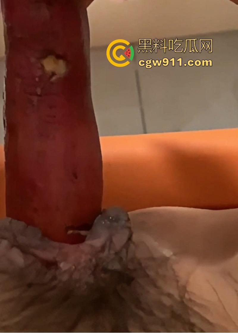 深圳职业学院清纯眼镜学生妹【林肖莹】不雅视频曝光,舌头灵活舔弄大屌,红薯插逼自慰,大饱眼福!-4