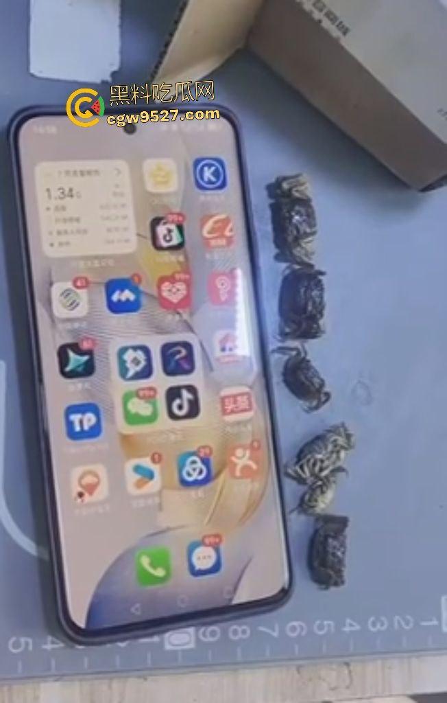 拼多多直播间骗人？69.99元20只“蟹黄满满”大螃蟹翻车！到手拇指大小，网购梦碎，再也不相信网购了！-5