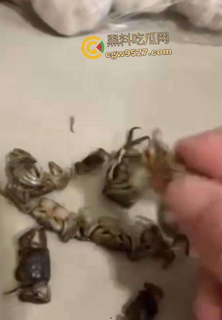 拼多多直播间骗人？69.99元20只“蟹黄满满”大螃蟹翻车！到手拇指大小，网购梦碎，再也不相信网购了！-8