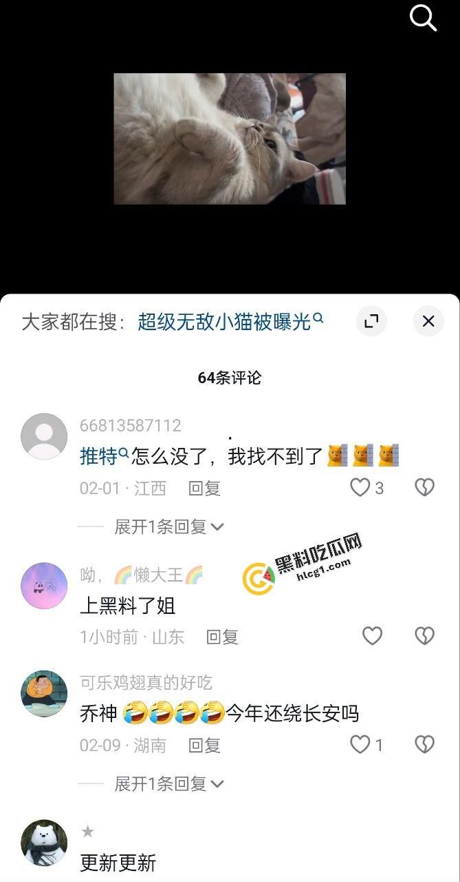 微博身材高挑的反差网红 超级无敌小猫 网上钓鱼 线下和金主爸爸约炮 视频流出-3