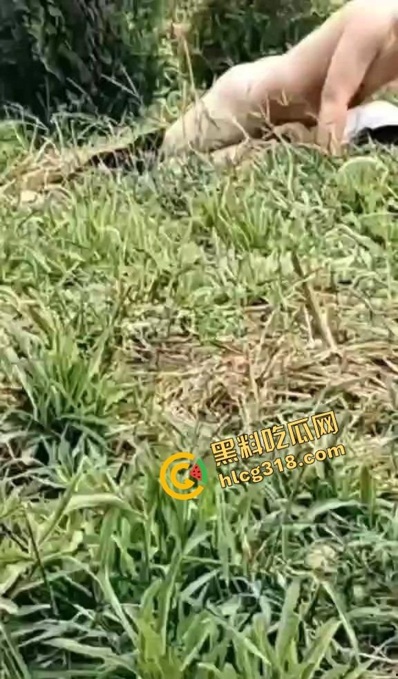 黄毛精神小伙带着骚货小妹户外野战被偷拍,猪头焖子都有逼能操,而你我的朋友你在干嘛?-1