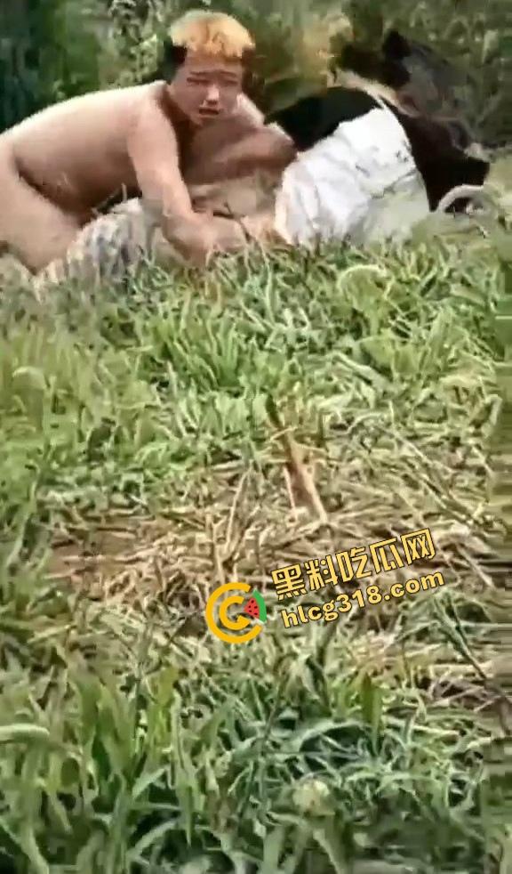 黄毛精神小伙带着骚货小妹户外野战被偷拍,猪头焖子都有逼能操,而你我的朋友你在干嘛?-6