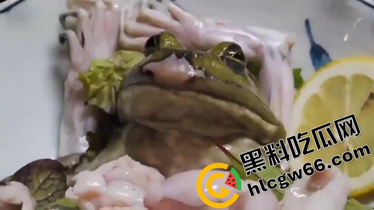蛙蛙刺身,现杀现吃!上半身还在挣扎,下半身已经下肚,小日子这口味是真敢整!-6