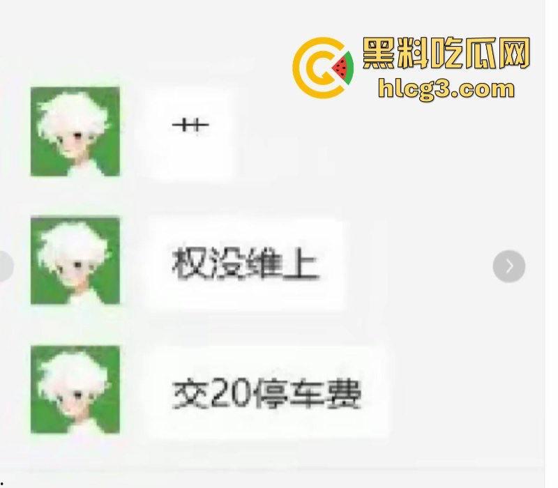 权没维上 还交了20块停车费?极氪背后的生存之战 极氪车主彻底破防 老车主拉横幅维权-5