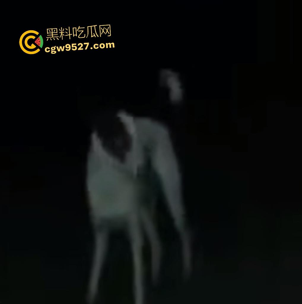 印度18岁少女为驱除“恶灵”，要嫁给一条流浪狗，深夜在户外被流浪狗后入，狗精子腥臭四溢！-7