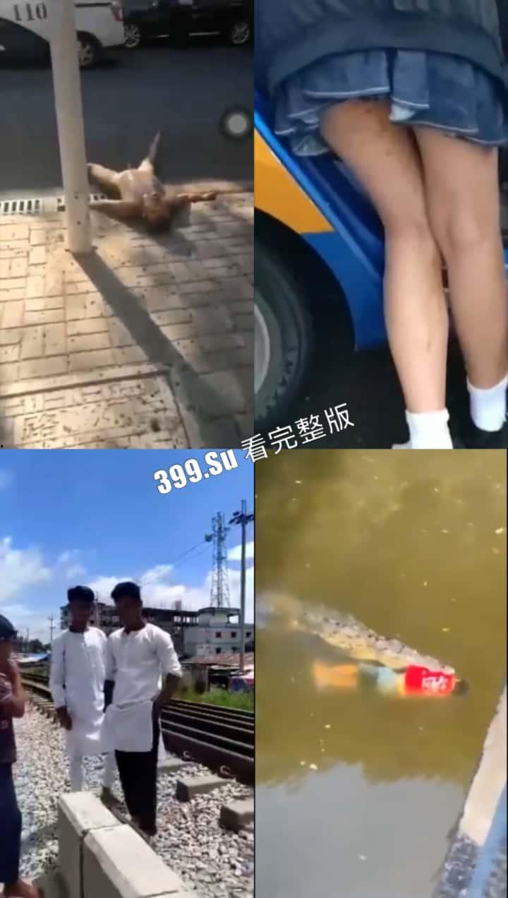 猎奇系列 人不能…至少不应该(十九)-2