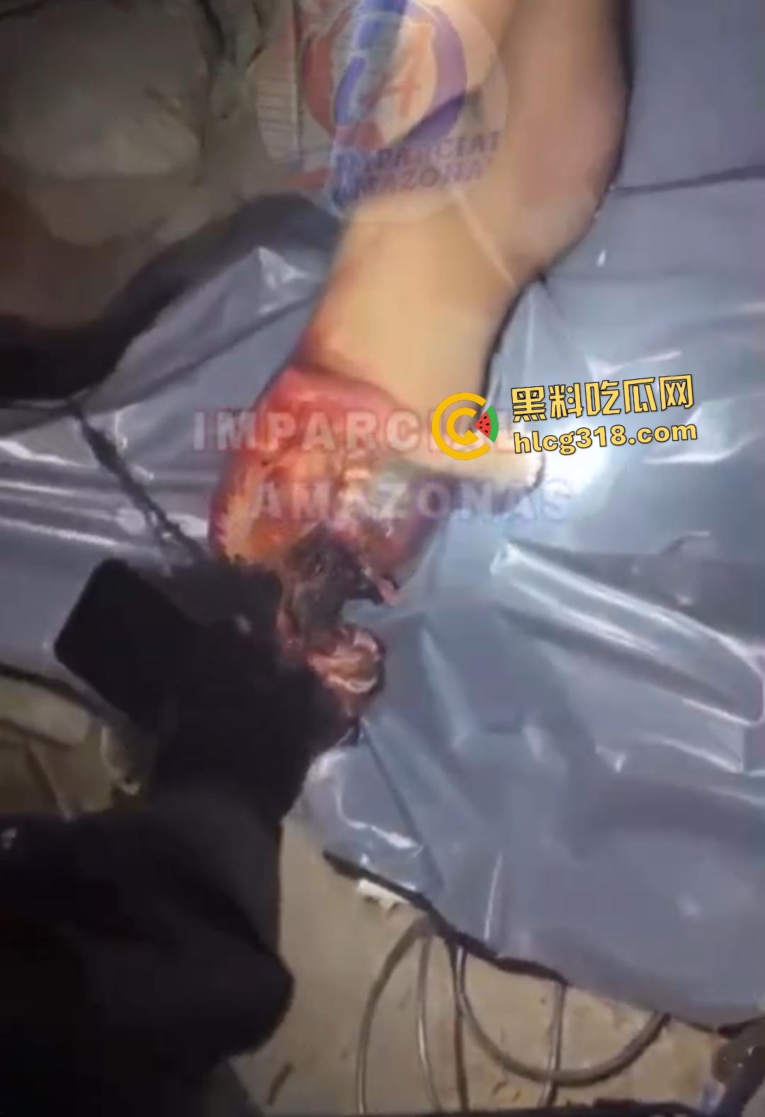 中国炒面摊老板巴西血腥屠杀！单相思6年，得不到邱兆虎就把少女残杀肢解尸体喂牲畜！-2