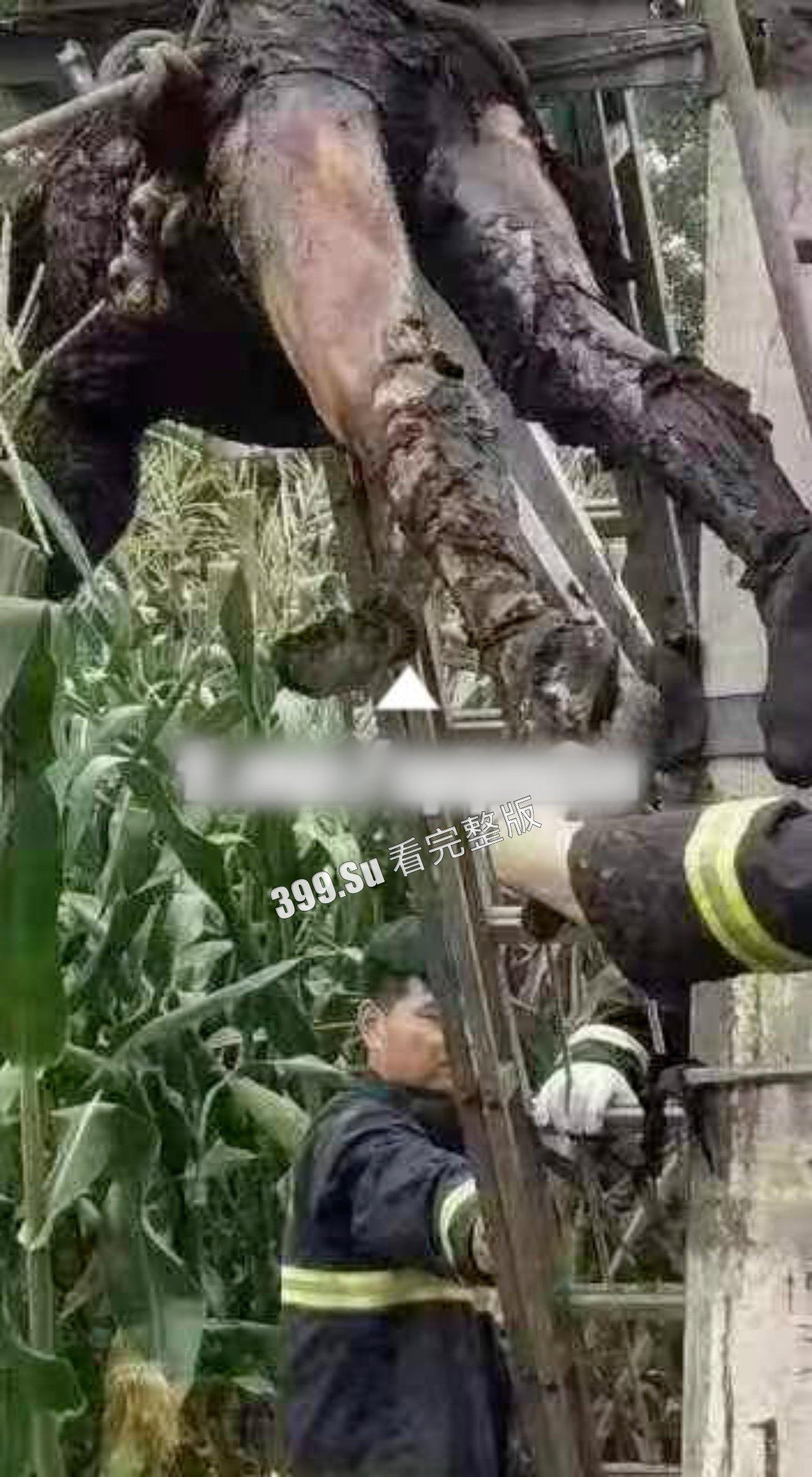 猎奇系列 人不能…至少不应该 （十一）-5