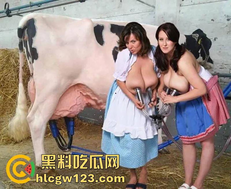 欧美牧场的巨乳奶牛，顶级核弹巨乳当场挤奶，这含奶量还是挺高的啊，都直接喷出来了！-3