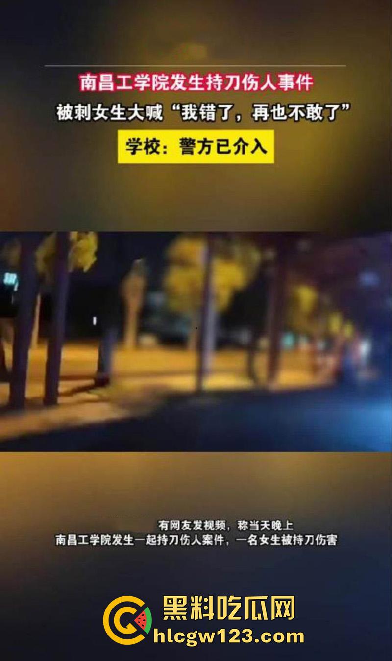 南昌工学院校园杀人案，19岁大学生怒杀22岁学姐，不仅骗钱还出轨玩弄感情，结果被小伙刺杀！-1
