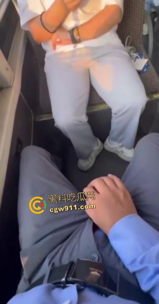 公交车惊现变态！露鸟大神对眼镜妹亮巨屌，她假装看手机实则偷录淫视频，晚上自慰有素材咯！-4