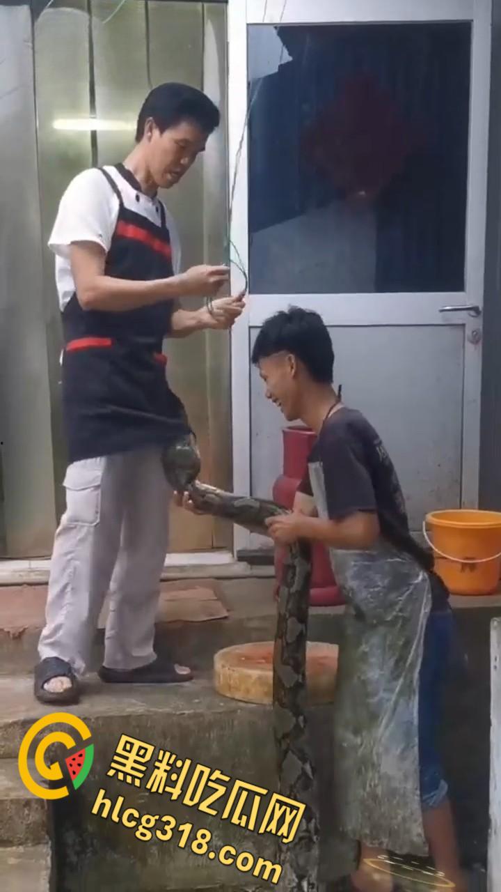 农夫徒手大战蟒蛇，54公斤巨型蟒蛇被活活打死，农户剥皮下锅做大补美食，场面血腥 ！-4