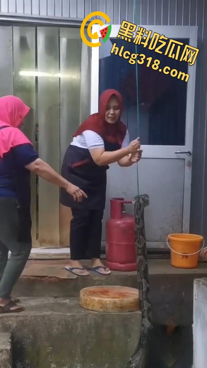 农夫徒手大战蟒蛇，54公斤巨型蟒蛇被活活打死，农户剥皮下锅做大补美食，场面血腥 ！-5