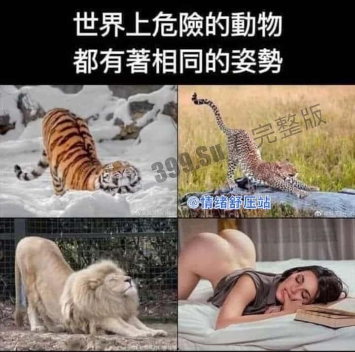 轻松一刻 搞笑集锦 原来陈泽在这里直播!-7