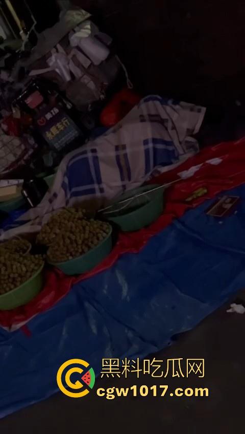 深夜摆摊过夜水果摊主街头做爱,路边铺张被子一盖跟老伴做爱,性欲也是够强的呀,小心点射,别把精液射水果上卖出去!-7