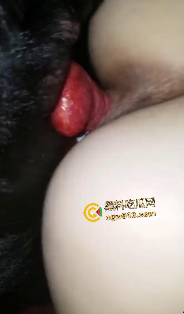 老外熟女趁丈夫不在家,与黑犬兽交!后入大屁股拔出喷精狂喷,狗鸡巴兽交姿势操逼,这是爱上主人了!-5