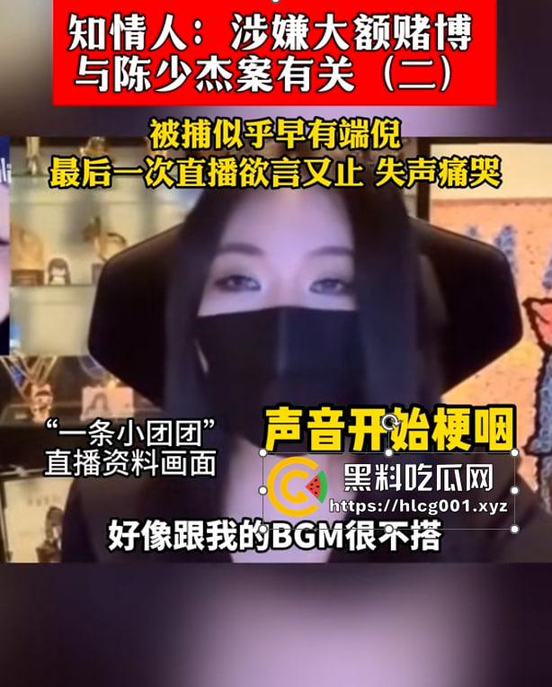 重磅！抖音千万网红【一条小团团】原名【瞿玉婷】因参与重大赌博案被捕都是其一事件，经过某大佬操作还有三陪服务！！ 涉及金额千万-10