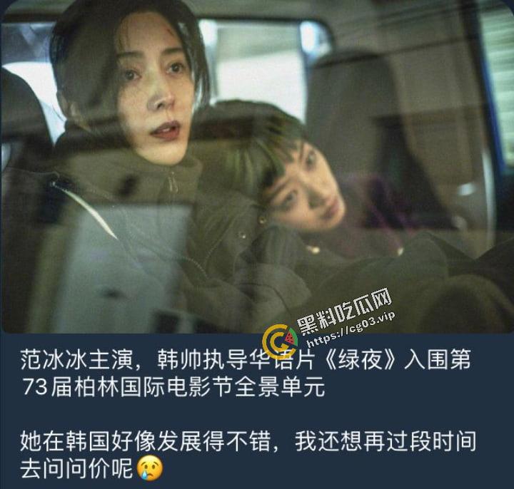 【范冰冰】携最新韩国同性题材三级片【绿夜】显身柏林电影节  先带瓜友品一下片中的大尺度戏码-1