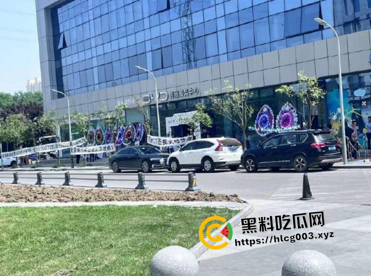 比亚迪车内被电击第一视角！简直就是电车版杨永信  微博抖音被删除视频完整版-2