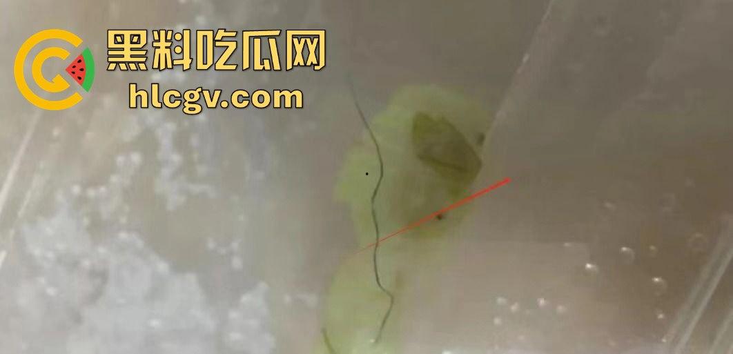 小仙女白嫖神操作!没舔狗付钱,竟拔逼毛栽赃商家,老板看傻眼!-4