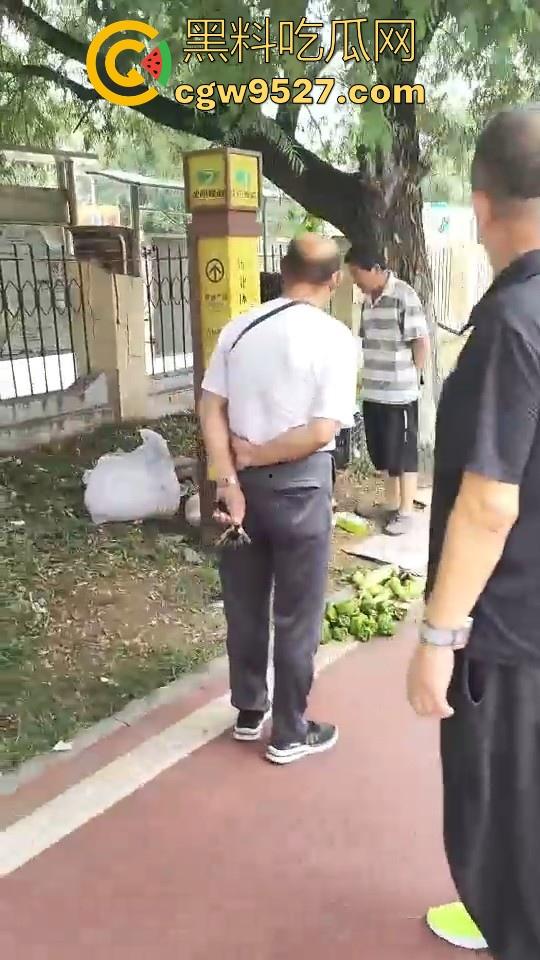 黑龙江城管不讲道理执法，跟买菜小摊贩说两句就上头，牛逼到不行，给个书记他做那不得起飞了！-2