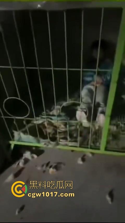 又见教育狂魔上线，作业没写完被打进狗笼？虎爸摇身一变成畜生爸，全网怒骂还在狡辩为你好！-5