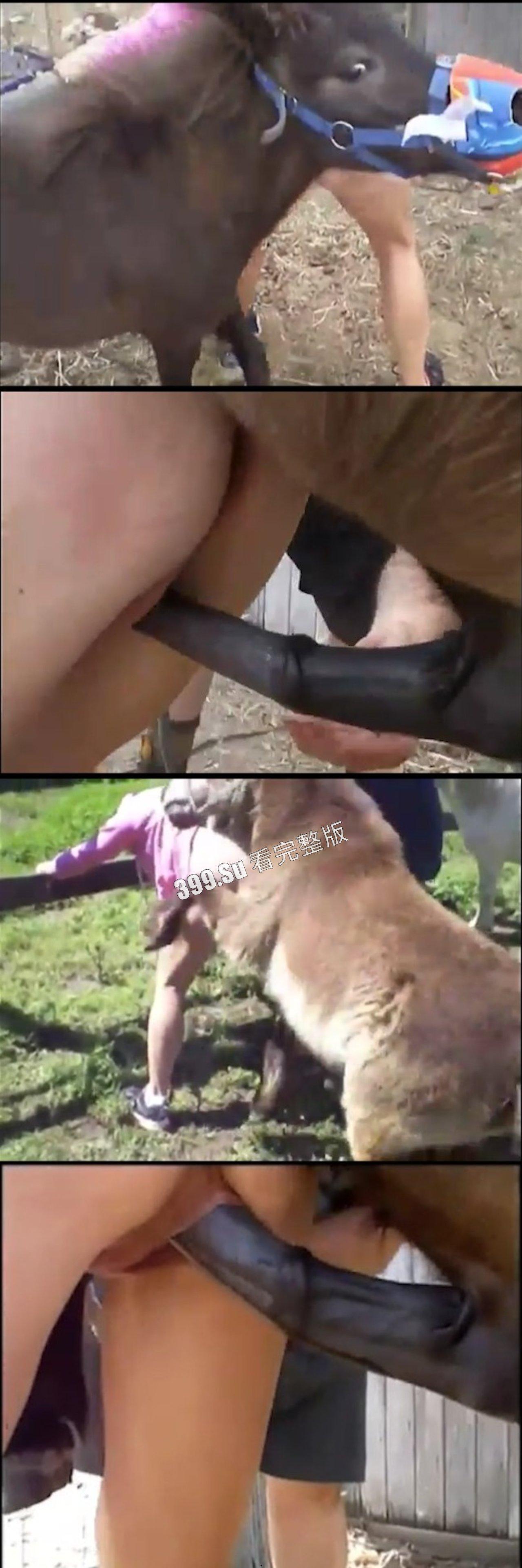 人兽篇 不理解,但是大为震撼!有请本场男演员:好多狗,马,驴,猪!(介意的瓜友 勿点! )-3