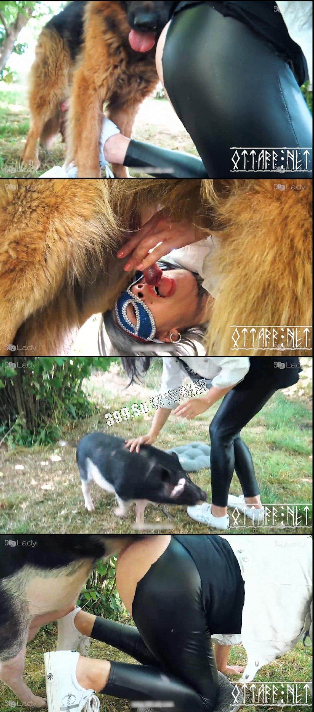 人兽篇 不理解,但是大为震撼!有请本场男演员:好多狗,马,驴,猪!(介意的瓜友 勿点! )-6