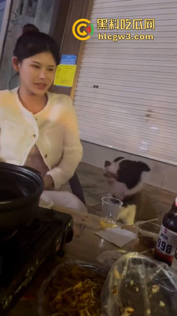 狗子发情当众操“妈” 大庭广众之下抱腿突击!美女吓得抱头躲避 在家没少干吧?-2