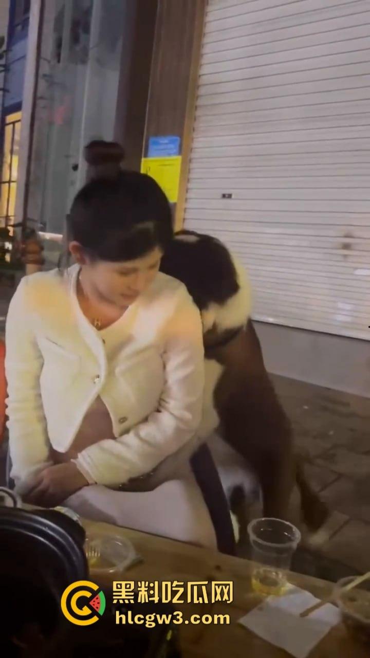 狗子发情当众操“妈” 大庭广众之下抱腿突击!美女吓得抱头躲避 在家没少干吧?-5