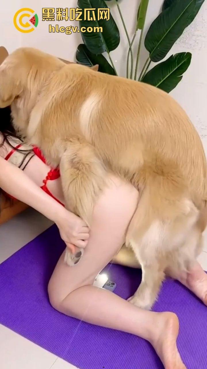 抖音小姐姐【香香公主】给科普兽交注意事项 每天都在和金毛上演人兽配!-16
