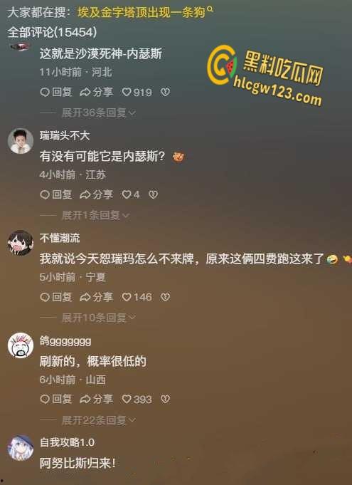 狗狗硬爬126米金字塔顶，狂吠耍帅当“法老”，稳稳下塔震惊全球！-2