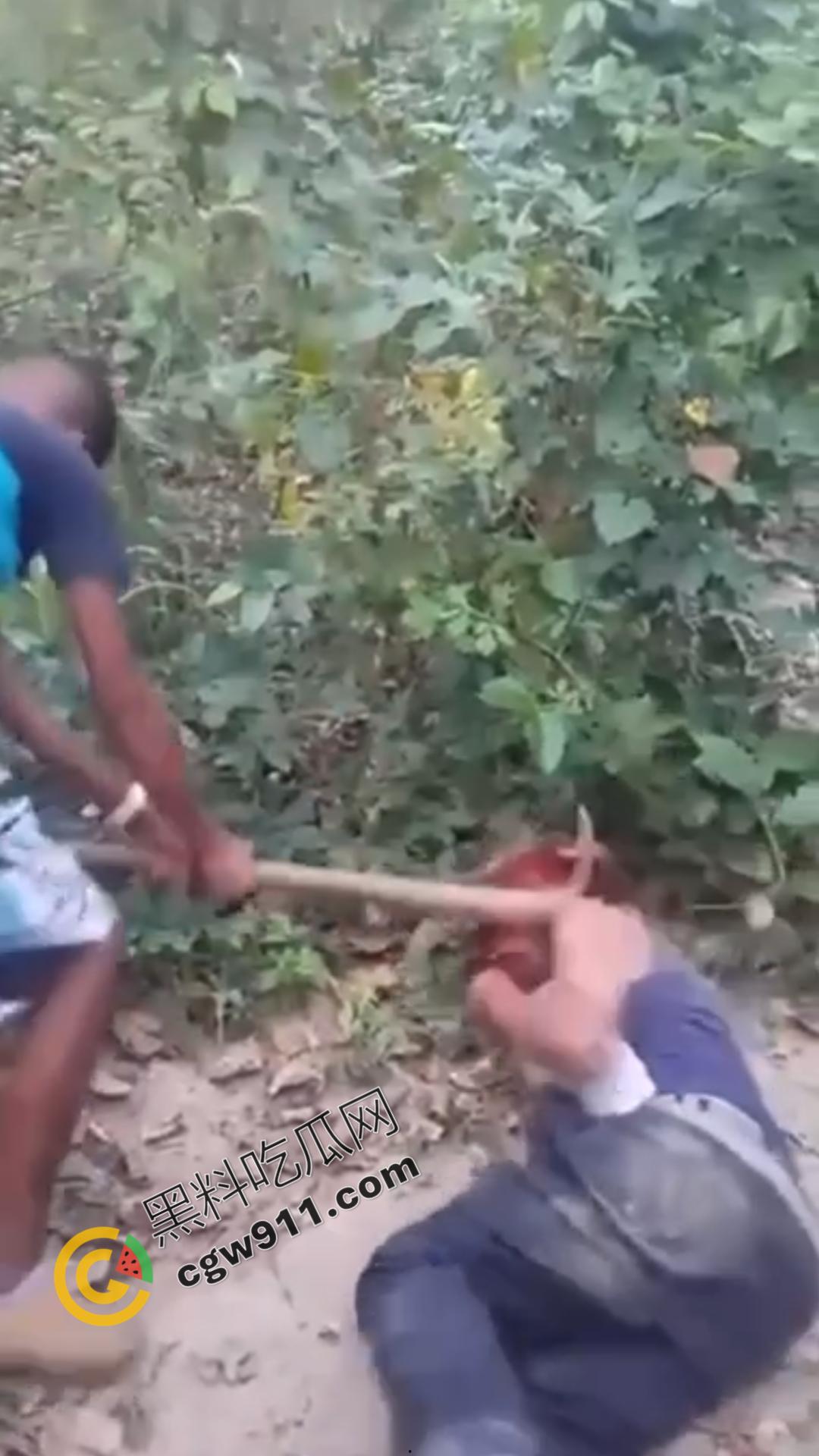 恐怖血腥暴力场面！奸夫惨遭铁镐猛砸，头颅血流如注，现场骇人至极，胆小者勿点！-4