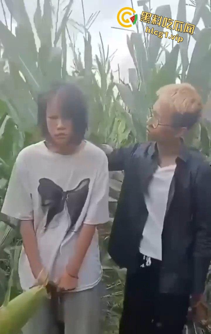 河南商丘高中女生被两名男同学殴打！玉米地中耳光、拳脚相加！-9