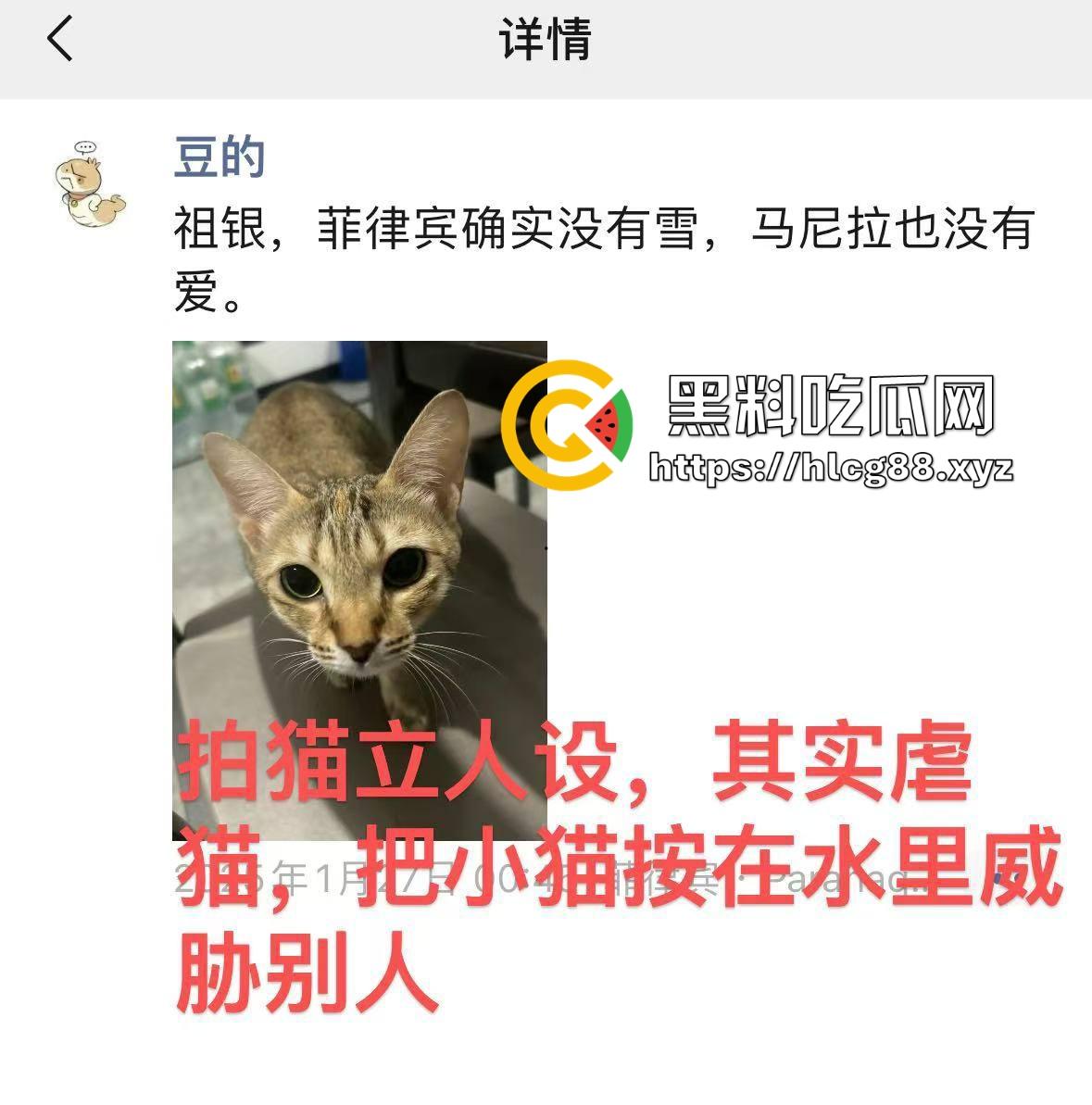 圣彼得堡留学生『豆豆』800一炮，金主老婆捉奸打烂逼，还偷表虐猫跑路！-15