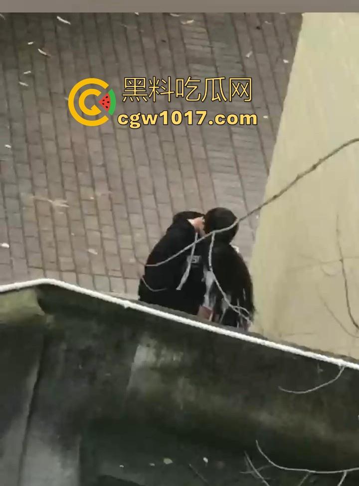 湖南师范大学宿舍角落小情侣偷情，我扣你的逼 你撸我的鸡，激情四射啊！熟悉的角落，熟悉的人，熟悉的动作！-6