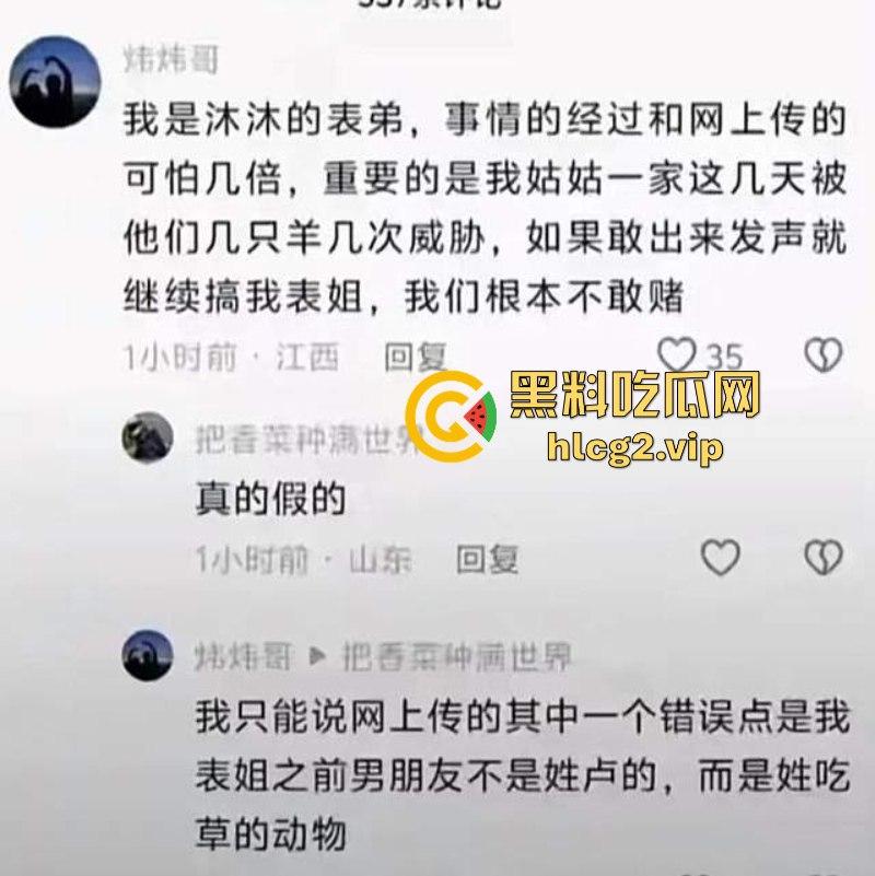 小杨哥辛巴风波升级！沫沫最后露面照曝光肚子凸起明显！沫沫人在看守所遭威胁 双方聊天记录曝光！-33