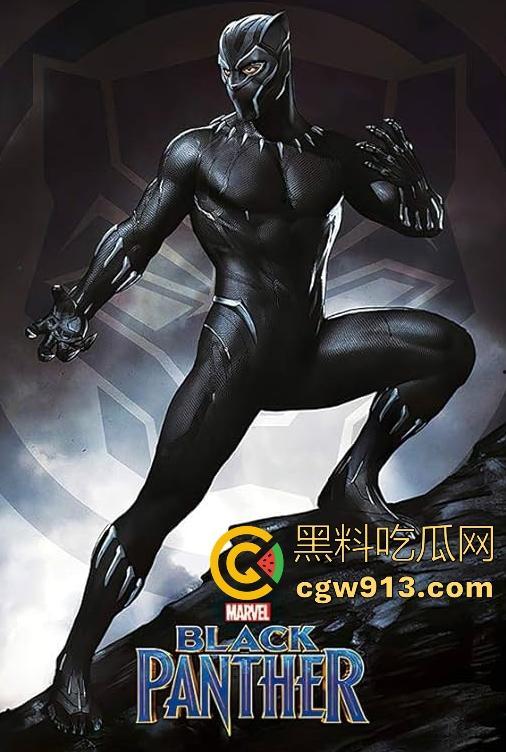 漫威超级英雄电影【黑豹】高清免费版，漫威经典之作，拿下奥斯卡多个大奖，很值得一看！-3