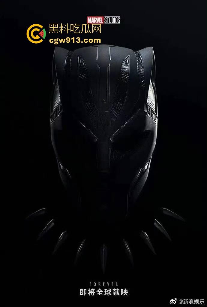 漫威超级英雄电影【黑豹】高清免费版，漫威经典之作，拿下奥斯卡多个大奖，很值得一看！-5