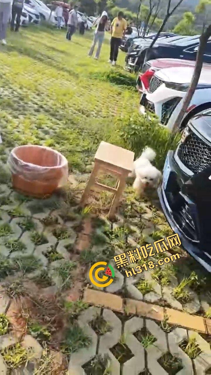 凯迪拉克聚会开到野外，把全会所女人都包了，足浴热舞酒水不断，真有你的凯之星！奢靡盛宴谁能比？-5