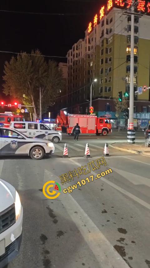 惊讶!宝清市街头惊现巨熊,警察开枪击毙,血洒街头,网友热议动物保护与城市安全!-8