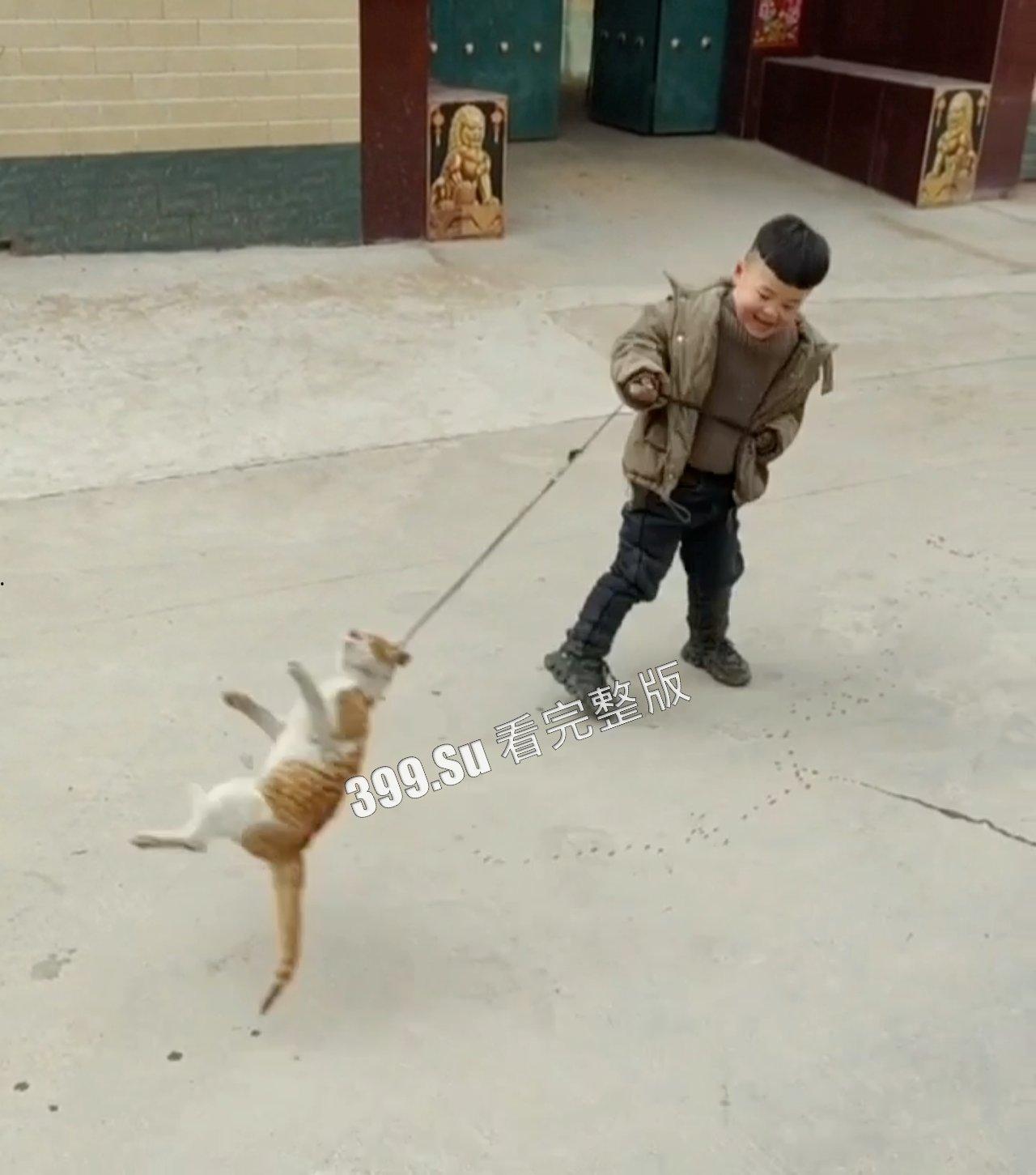 慎点!!!虐猫篇 面对没有反抗力的猫,人性中的恶被无限放大-1