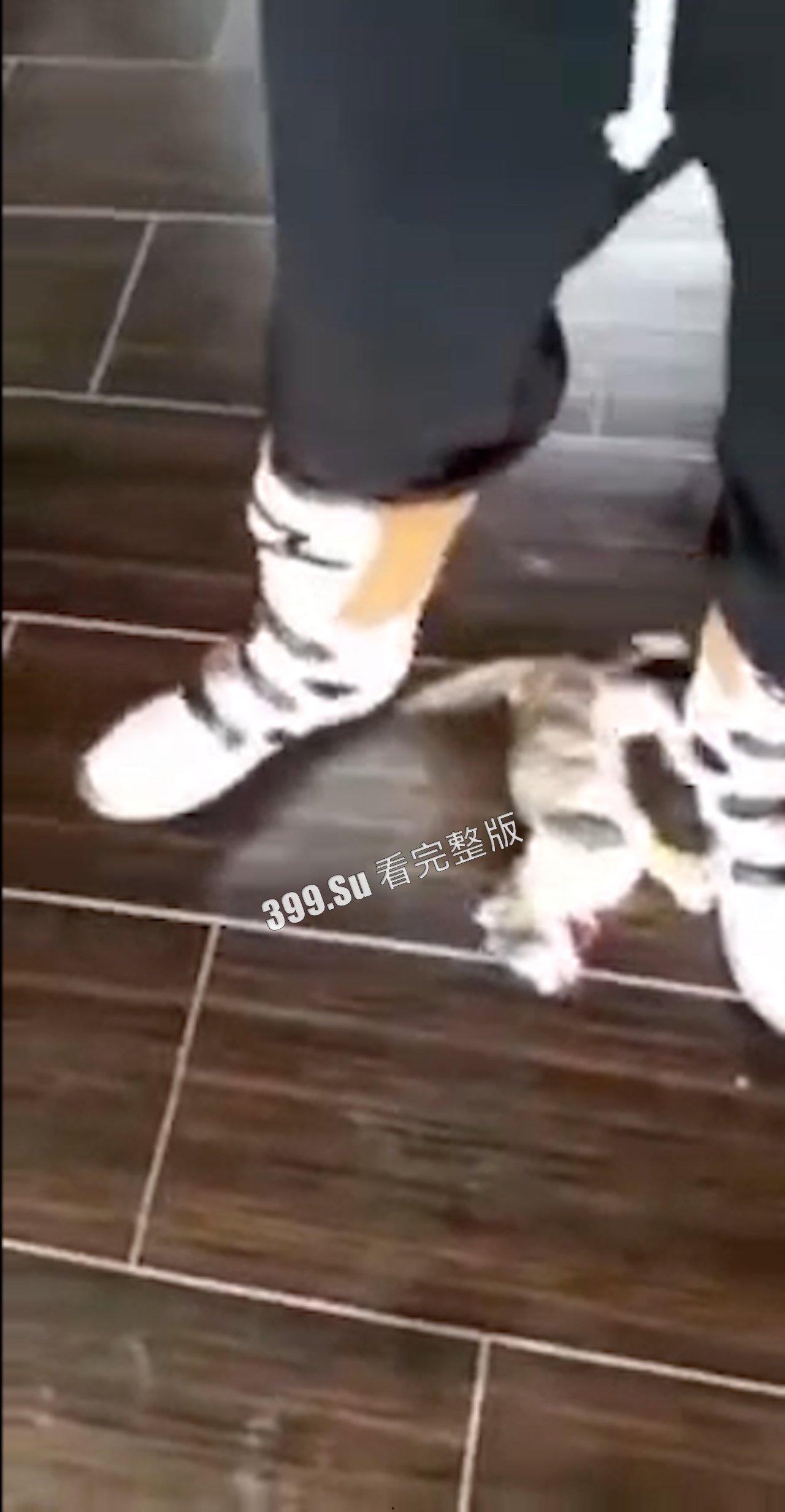 慎点!!!虐猫篇 面对没有反抗力的猫,人性中的恶被无限放大-4