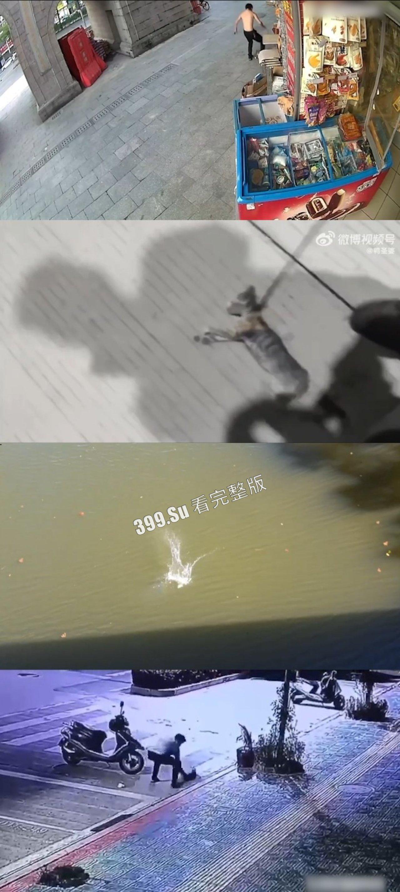 慎点!!!虐猫篇 面对没有反抗力的猫,人性中的恶被无限放大-8