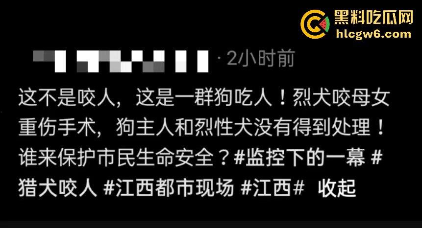 江西赣州母女在公园散步被四条野狗攻击撕咬,扯下来的肉被吃掉,暴露性伤口可以塞进一只手-1