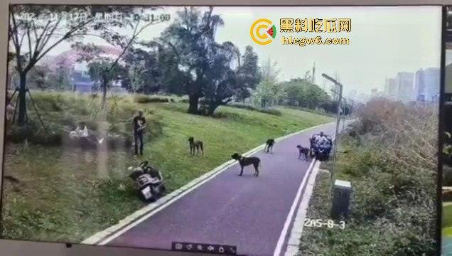 江西赣州母女在公园散步被四条野狗攻击撕咬,扯下来的肉被吃掉,暴露性伤口可以塞进一只手-6