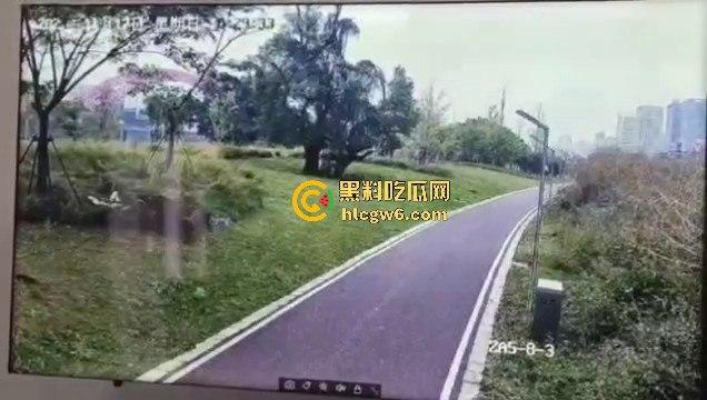 江西赣州母女在公园散步被四条野狗攻击撕咬,扯下来的肉被吃掉,暴露性伤口可以塞进一只手-8