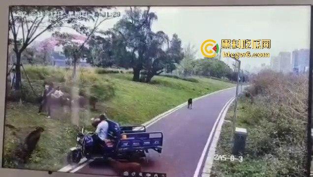 江西赣州母女在公园散步被四条野狗攻击撕咬,扯下来的肉被吃掉,暴露性伤口可以塞进一只手-12