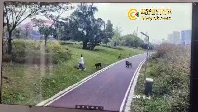 江西赣州母女在公园散步被四条野狗攻击撕咬,扯下来的肉被吃掉,暴露性伤口可以塞进一只手-13