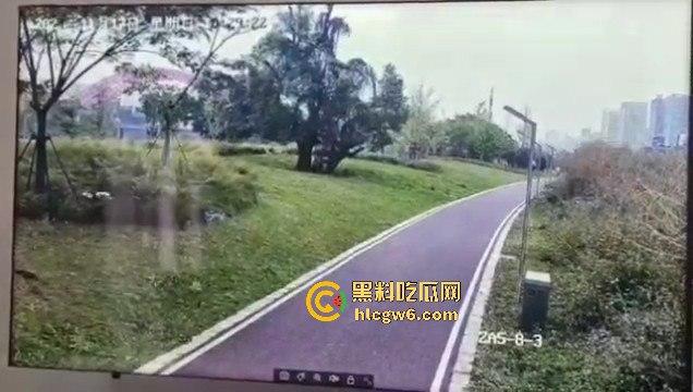 江西赣州母女在公园散步被四条野狗攻击撕咬,扯下来的肉被吃掉,暴露性伤口可以塞进一只手-14